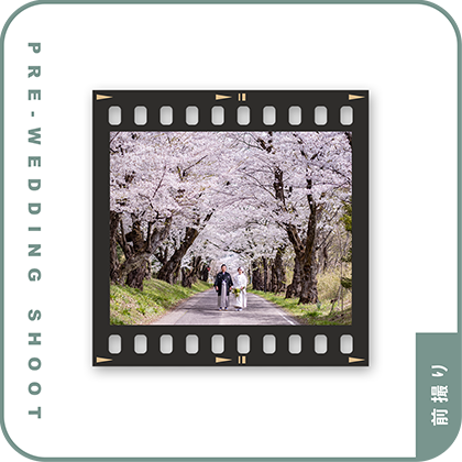 PRE-WEDDING SHOOT - 前撮り